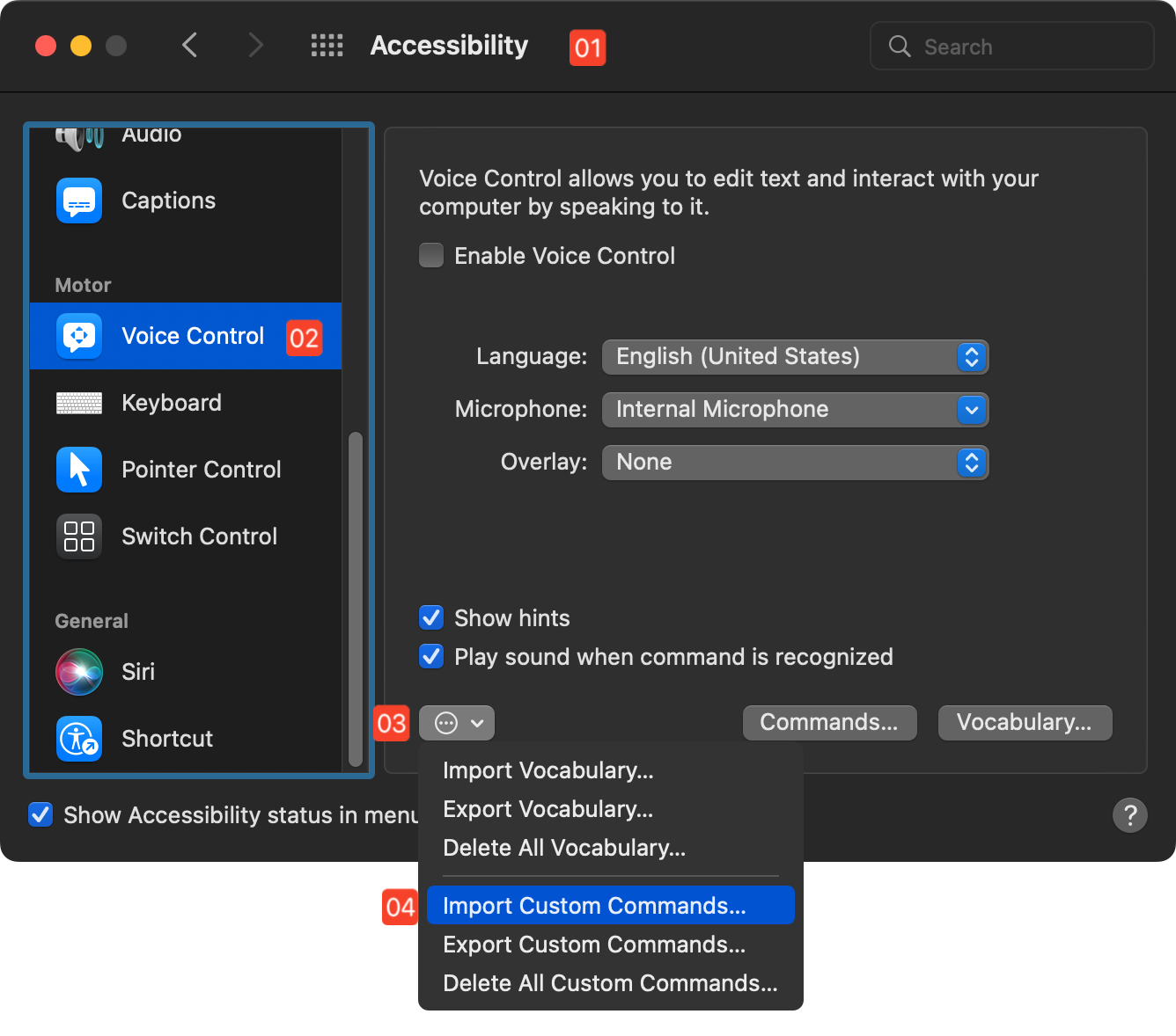 The Voice Control preference tab in the Accessiblity system preference pane in the System Preferences app on macOS.